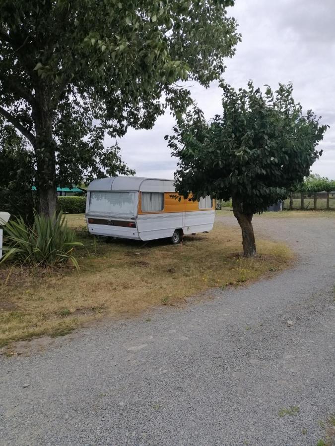 Rangiora Eco Holiday Park Fernside Buitenkant foto